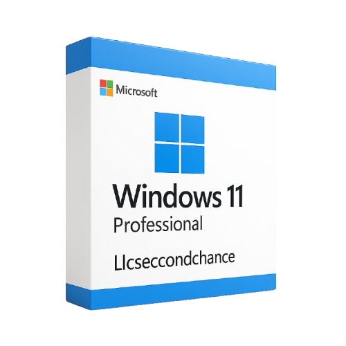 Windows 11 Professional